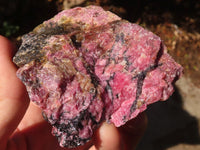 Natural Rough Red Rhodonite Specimens x 6 From Zimbabwe