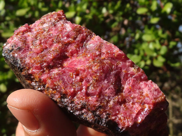 Natural Rough Red Rhodonite Specimens x 6 From Zimbabwe