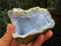 Natural Blue Lace Agate Geodes x 5 From Malawi - TopRock