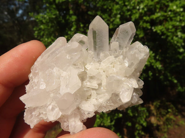 Natural Clear Quartz Crystals & Clusters  x 12 From Zambia - Toprock Gemstones and Minerals 