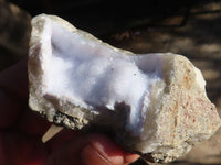 Natural Blue Lace Agate Geode Specimens  x 12 From Nsanje, Malawi