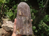 Polished Large Smokey Window Quartz With Red & Silver Lepidocrocite Disc Inclusions  x 1 From Madagascar - TopRock