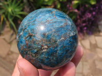 Polished Blue Apatite Spheres x 3 From Betroka, Madagascar - TopRock