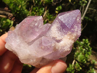 Natural Small Jacaranda Amethyst Specimens  x 12 From Mumbwa, Zambia - Toprock Gemstones and Minerals 