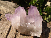 Natural Small Jacaranda Amethyst Specimens  x 12 From Mumbwa, Zambia - Toprock Gemstones and Minerals 