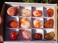 Polished Carnelian Agate Hearts & Palm Stones  x 12 From Madagascar