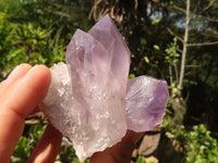 Natural Small Jacaranda Amethyst Specimens  x 12 From Mumbwa, Zambia - Toprock Gemstones and Minerals 