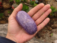 Polished Purple Lepidolite Free Forms  x 6 From Zimbabwe