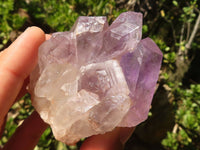 Natural Small Jacaranda Amethyst Specimens  x 12 From Mumbwa, Zambia - Toprock Gemstones and Minerals 