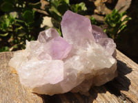 Natural Small Jacaranda Amethyst Specimens  x 12 From Mumbwa, Zambia - Toprock Gemstones and Minerals 