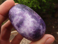 Polished Purple Lepidolite Free Forms  x 6 From Zimbabwe