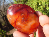 Polished Carnelian Agate Hearts & Palm Stones  x 12 From Madagascar