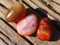 Polished Carnelian Agate Hearts & Palm Stones  x 12 From Madagascar