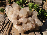 Natural Large Cascading White Phantom Smokey Quartz Cluster  x 1 From Luena, Congo - Toprock Gemstones and Minerals 