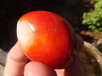 Polished Carnelian Agate Hearts & Palm Stones  x 12 From Madagascar