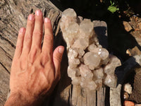 Natural Large Cascading White Phantom Smokey Quartz Cluster  x 1 From Luena, Congo - Toprock Gemstones and Minerals 