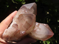 Natural Large Red Hematoid Phantom Quartz Clusters x 2 From Karoi, Zimbabwe - TopRock