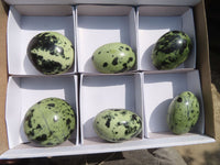 Polished Leopard stone Gallets  x 6 From Zimbabwe