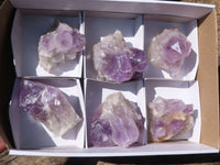 Natural Jacaranda Amethyst Clusters  x 6 From Mumbwa, Zambia - TopRock