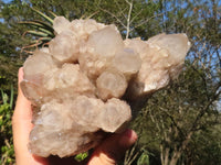 Natural Large Cascading White Phantom Smokey Quartz Cluster  x 1 From Luena, Congo - Toprock Gemstones and Minerals 