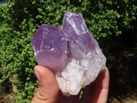 Natural Jacaranda Amethyst Clusters  x 6 From Mumbwa, Zambia - TopRock