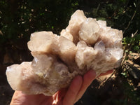 Natural Large Cascading White Phantom Smokey Quartz Cluster  x 1 From Luena, Congo - Toprock Gemstones and Minerals 