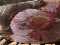 Polished Petrified Red Podocarpus Wood Bowl x 1 From Mahajanga, Madagascar - TopRock