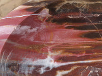 Polished Petrified Red Podocarpus Wood Bowl x 1 From Mahajanga, Madagascar - TopRock