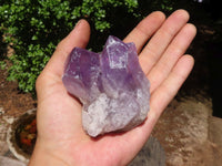 Natural Jacaranda Amethyst Clusters  x 6 From Mumbwa, Zambia - TopRock