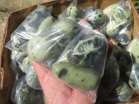 Polished Highly Selected Leopard Stone Green & Blue Dot Patterned Free Forms - Sold per 1 kg  From Zimbabwe - TopRock