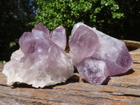 Natural Jacaranda Amethyst Clusters  x 6 From Mumbwa, Zambia - TopRock