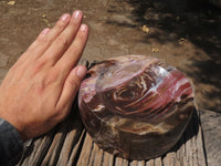 Polished Petrified Red Podocarpus Wood Bowl x 1 From Mahajanga, Madagascar - TopRock