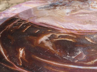 Polished Petrified Red Podocarpus Wood Bowl x 1 From Mahajanga, Madagascar - TopRock