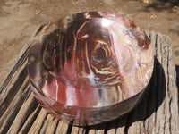 Polished Petrified Red Podocarpus Wood Bowl x 1 From Mahajanga, Madagascar - TopRock