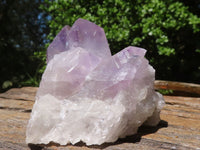 Natural Jacaranda Amethyst Clusters  x 6 From Mumbwa, Zambia - TopRock