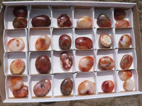 Polished Small Carnelian Agate Palm Stones  x 28 From Madagascar - TopRock