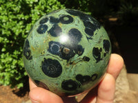 Polished Stromatolite / Kambamba Jasper Spheres  x 2 From Madagascar - TopRock