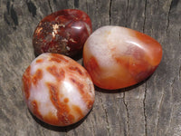 Polished Small Carnelian Agate Palm Stones  x 28 From Madagascar - TopRock