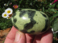 Polished Highly Selected Leopard Stone Green & Blue Dot Patterned Free Forms - Sold per 1 kg  From Zimbabwe - TopRock