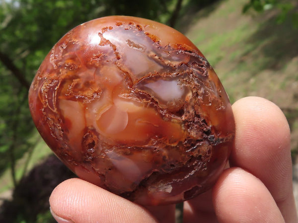 Polished Small Carnelian Agate Palm Stones  x 28 From Madagascar - TopRock