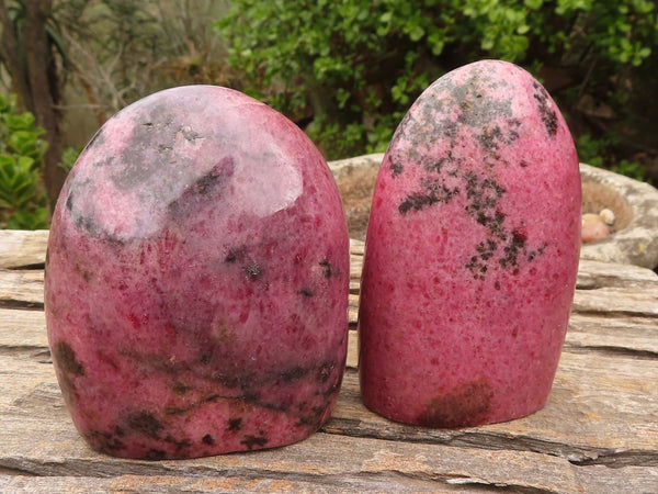 Polished Bright Pink Rhodonite Standing Free Forms x 2 From Madagascar