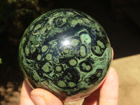 Polished Stromatolite / Kambamba Jasper Spheres  x 2 From Madagascar - TopRock