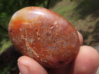 Polished Small Carnelian Agate Palm Stones  x 28 From Madagascar - TopRock