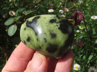 Polished Highly Selected Leopard Stone Green & Blue Dot Patterned Free Forms - Sold per 1 kg  From Zimbabwe - TopRock