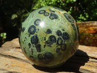 Polished Stromatolite / Kambamba Jasper Spheres  x 2 From Madagascar - TopRock