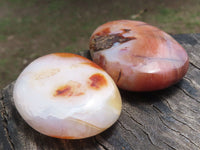 Polished Small Carnelian Agate Palm Stones  x 28 From Madagascar - TopRock