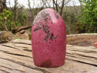 Polished Bright Pink Rhodonite Standing Free Forms x 2 From Madagascar