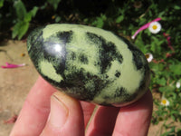 Polished Highly Selected Leopard Stone Green & Blue Dot Patterned Free Forms - Sold per 1 kg  From Zimbabwe - TopRock