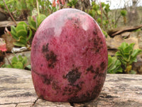 Polished Bright Pink Rhodonite Standing Free Forms x 2 From Madagascar