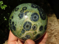 Polished Stromatolite / Kambamba Jasper Spheres  x 2 From Madagascar - TopRock